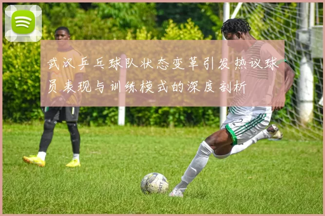 武汉乒乓球队状态变革引发热议球员表现与训练模式的深度剖析