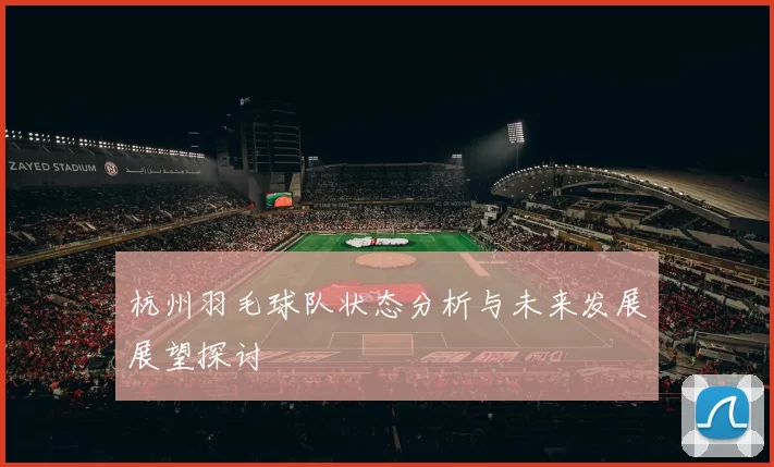 杭州羽毛球队状态分析与未来发展展望探讨