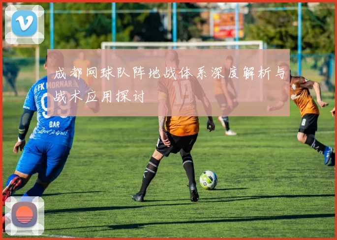 成都网球队阵地战体系深度解析与战术应用探讨