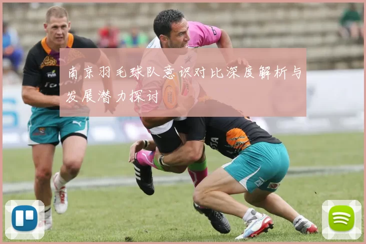 南京羽毛球队意识对比深度解析与发展潜力探讨