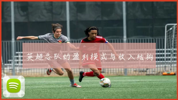 英超各队的盈利模式与收入结构