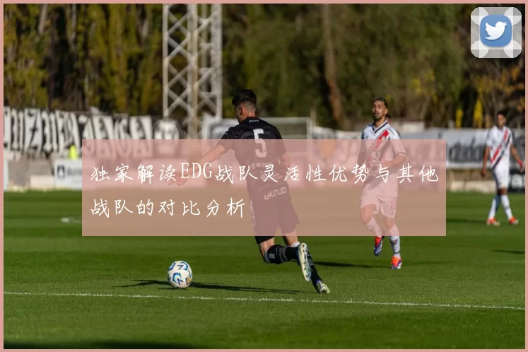 独家解读EDG战队灵活性优势与其他战队的对比分析