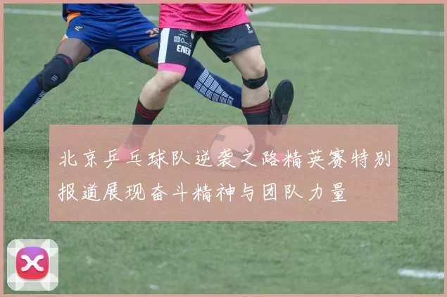 北京乒乓球队逆袭之路精英赛特别报道展现奋斗精神与团队力量