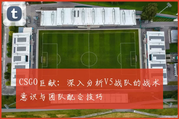 CSGO巨献：深入分析V5战队的战术意识与团队配合技巧