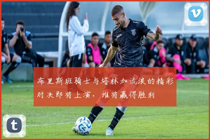 布里斯班骑士与塔林加流浪的精彩对决即将上演，谁将赢得胜利