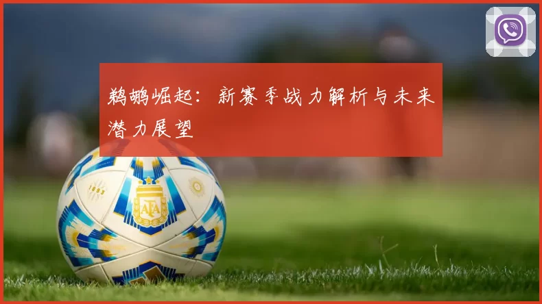 鹈鹕崛起：新赛季战力解析与未来潜力展望