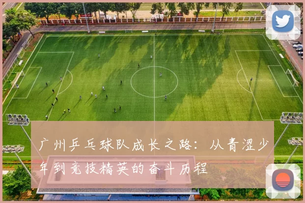 广州乒乓球队成长之路：从青涩少年到竞技精英的奋斗历程