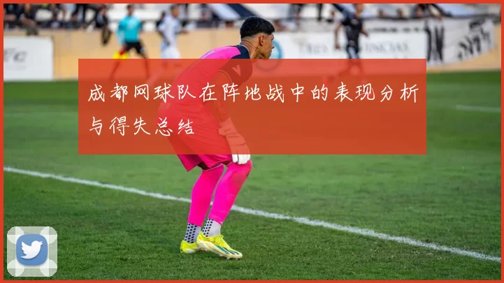 成都网球队在阵地战中的表现分析与得失总结